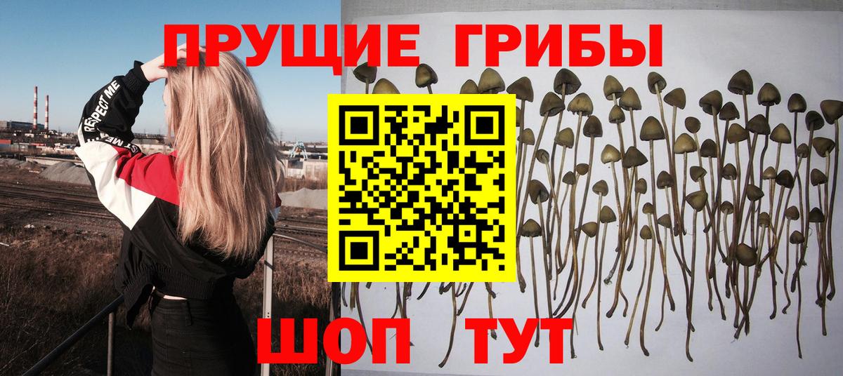 Псилоцибиновые грибы мухоморы Донецк